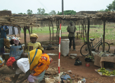 Dans les villages burkinabs, la culture vivrire reste la base de l'conomie.